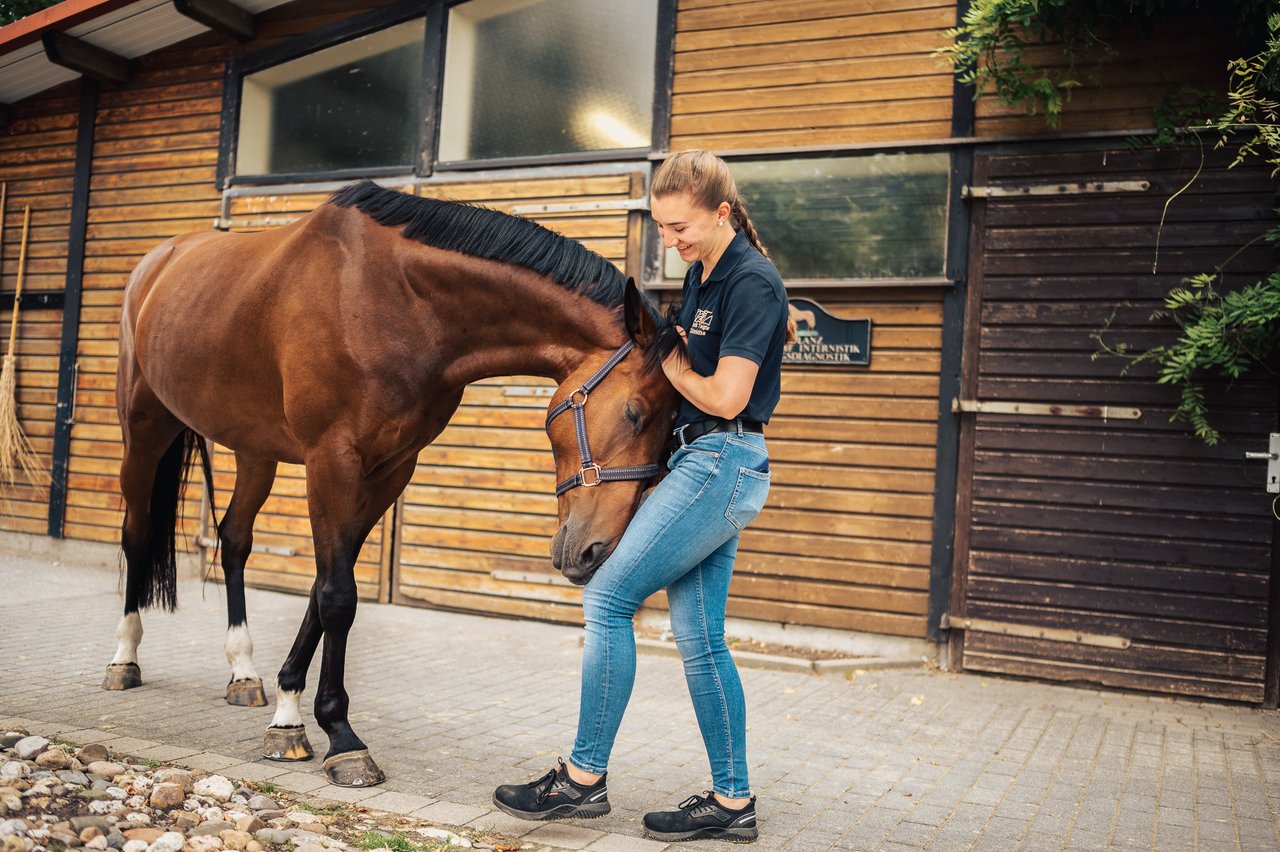 Eine lachende Person steht vor einem Pferd und streichelt dessen Kopf